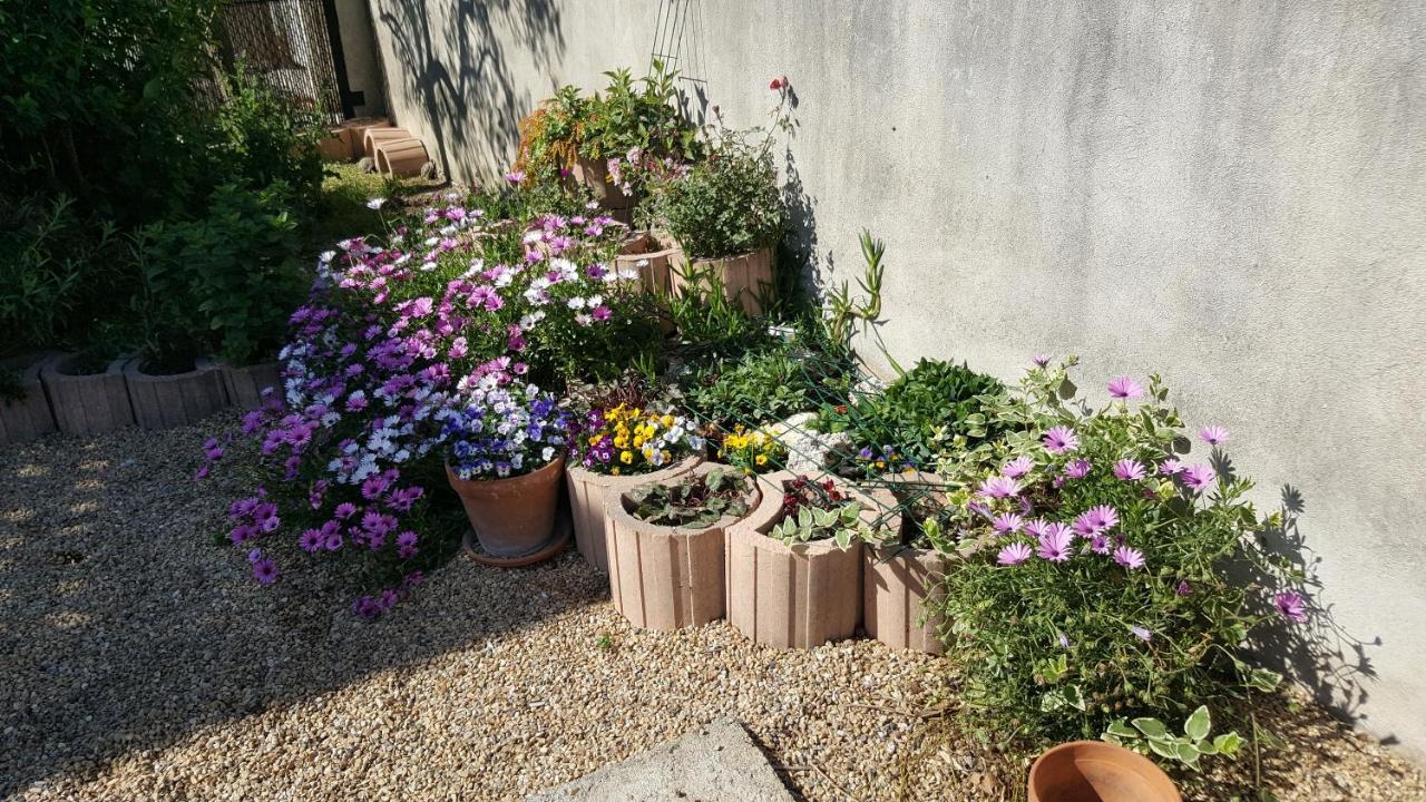 Appartement Avec Terrasse Quartier Montplaisir Arles Esterno foto